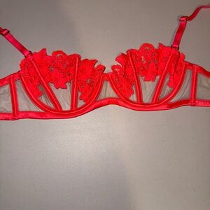 Honey Birdette Amelie Neon Pink